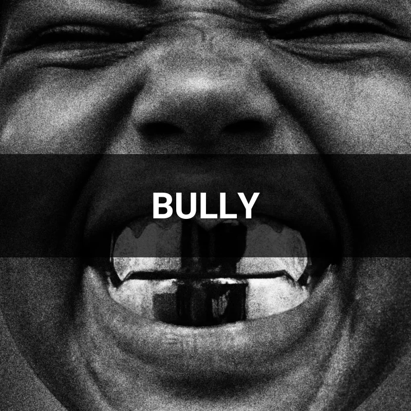 BULLY Song
