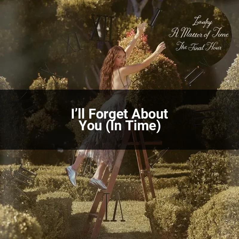 I’ll Forget About You (In Time)
