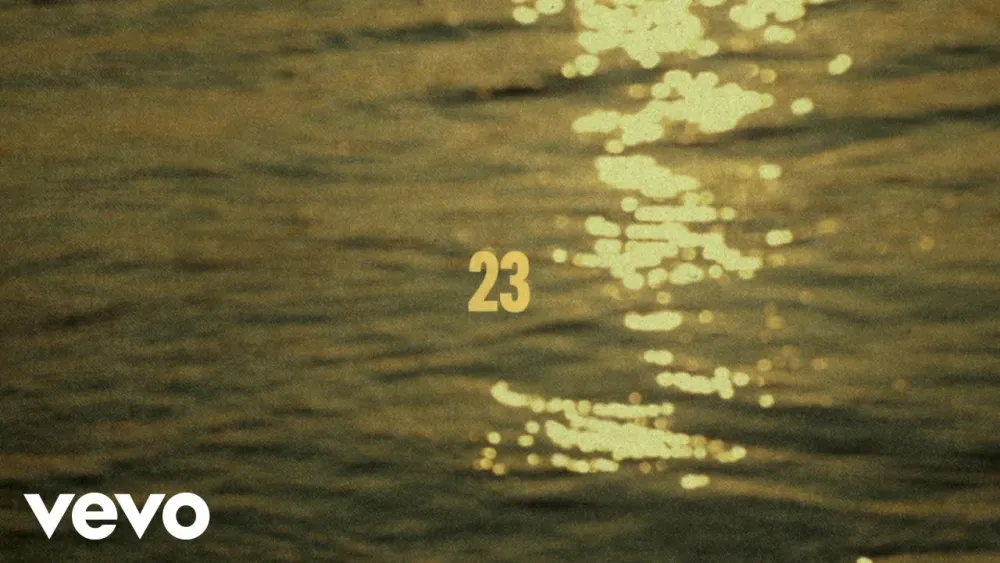 23