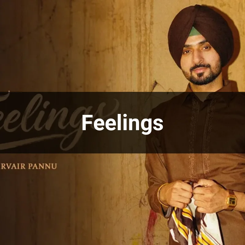 Feelings