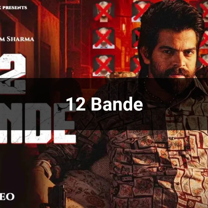 12 Bande