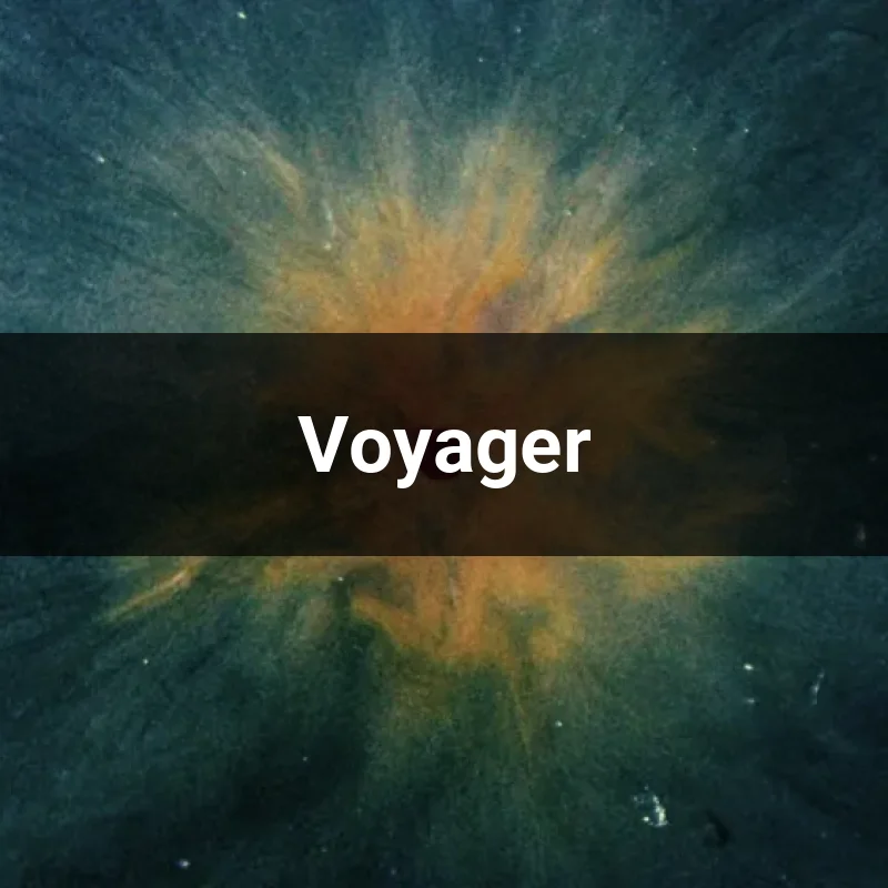 Voyager