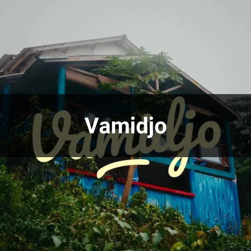 Vamidjo