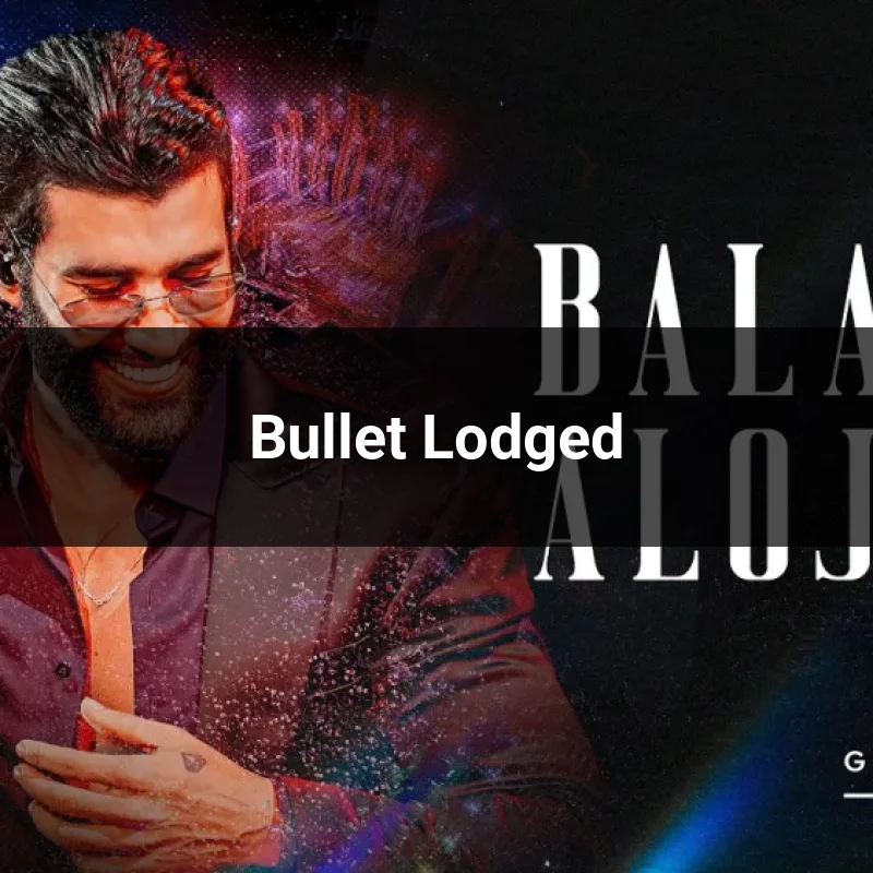 Bullet Lodged