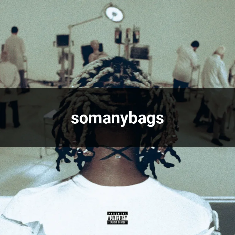 somanybags