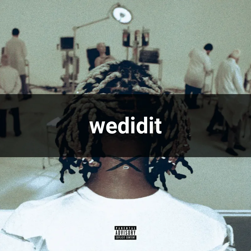 wedidit