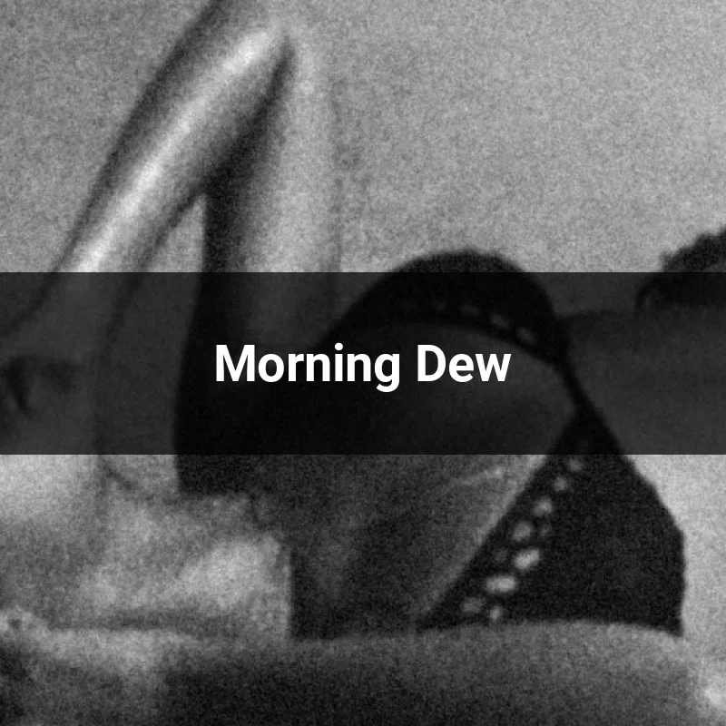 Morning Dew