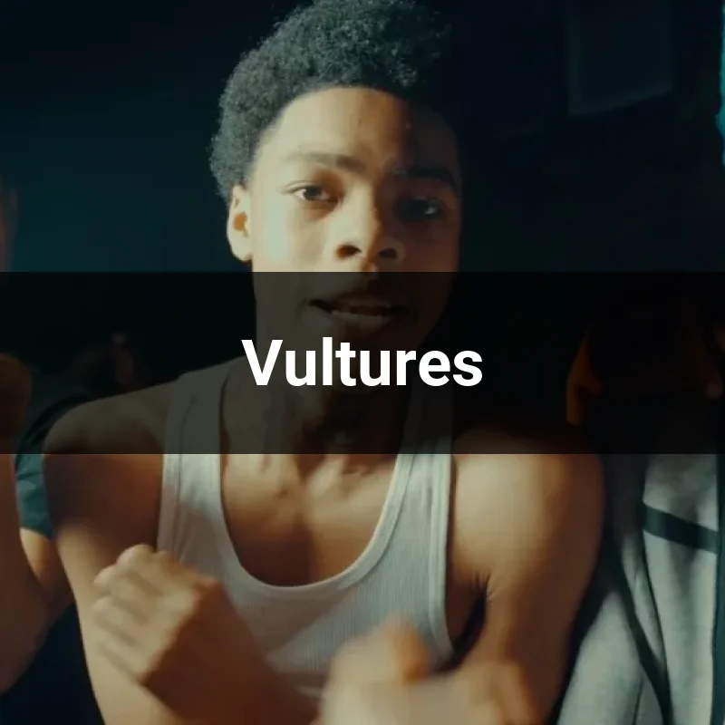 Vultures