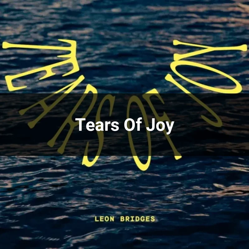 Tears Of Joy