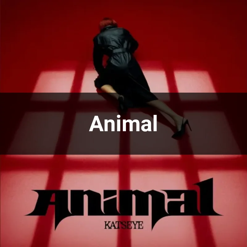 Animal