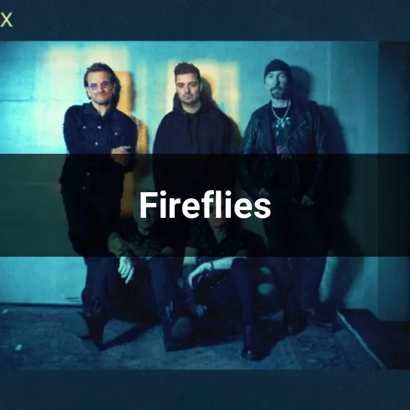 Fireflies