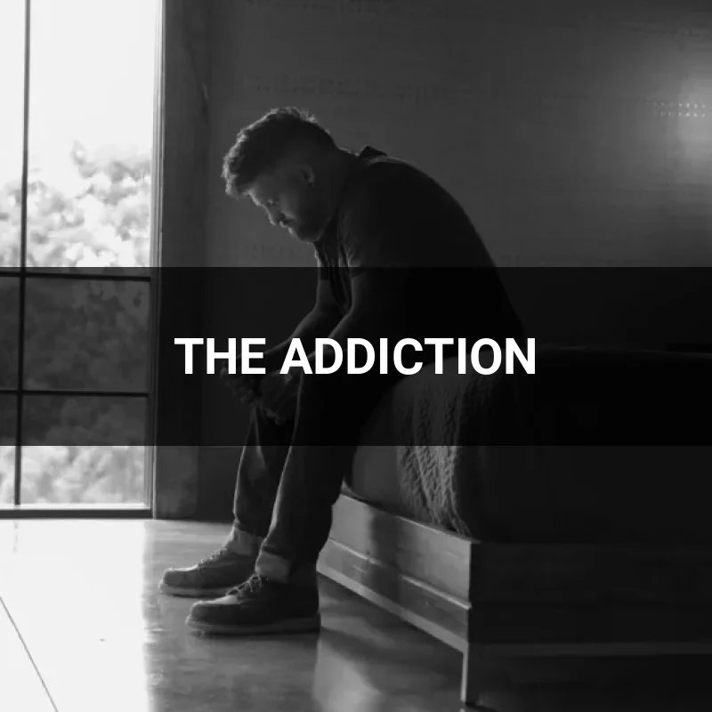 THE ADDICTION
