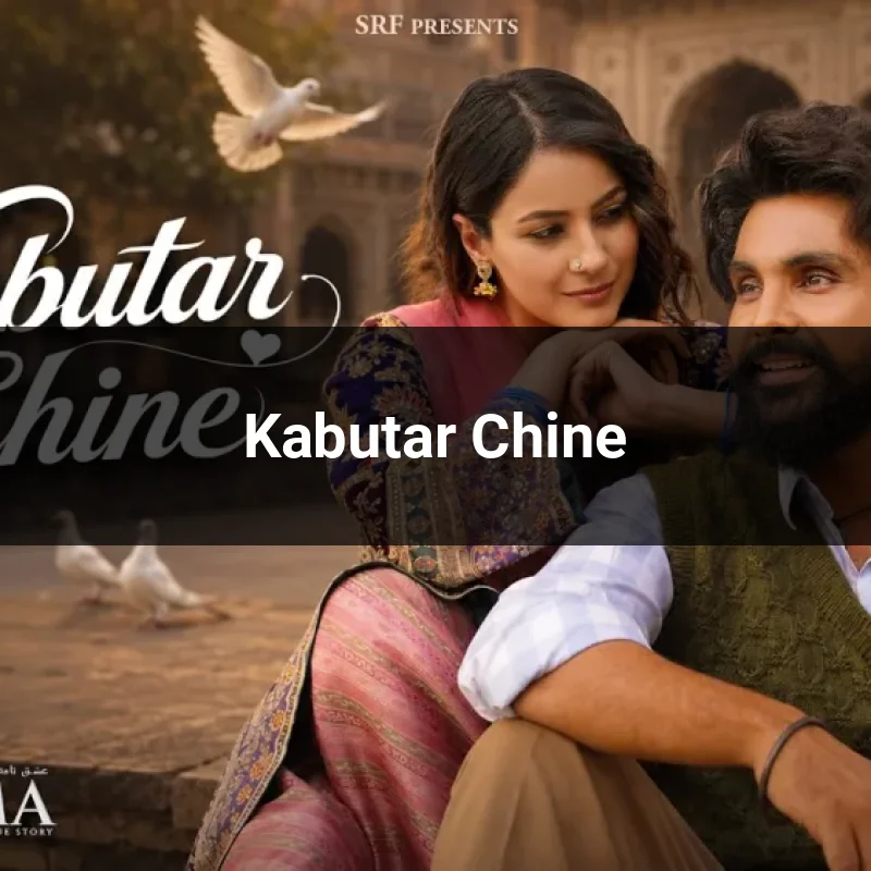 Kabutar Chine