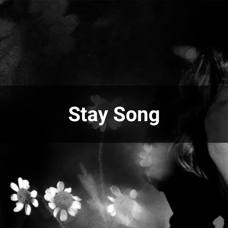 Stay Song
