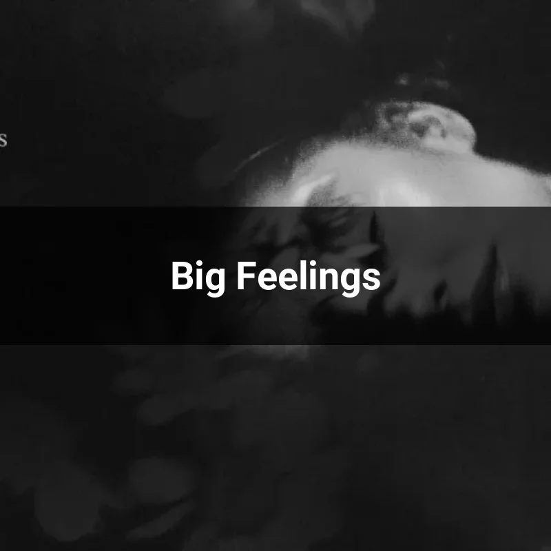 Big Feelings