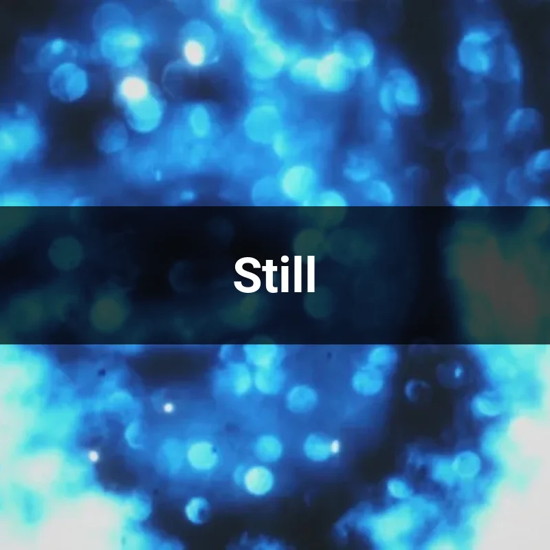 Still