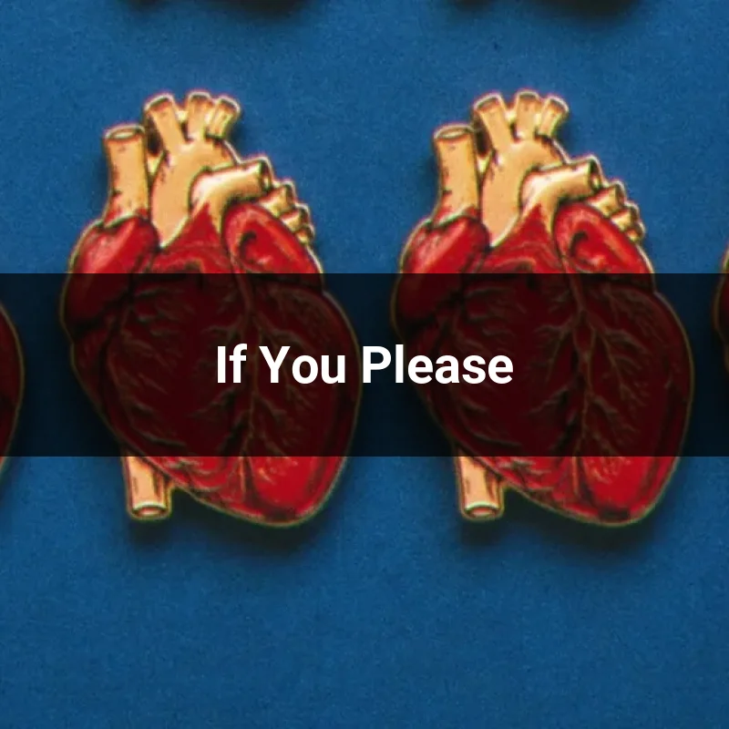 If You Please