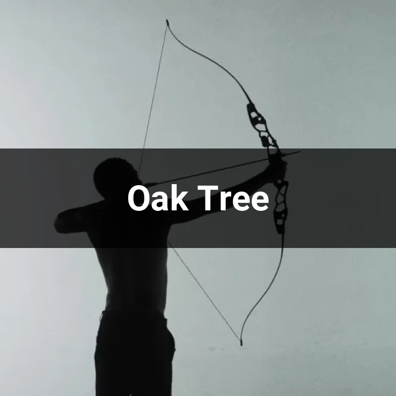 Oak Tree