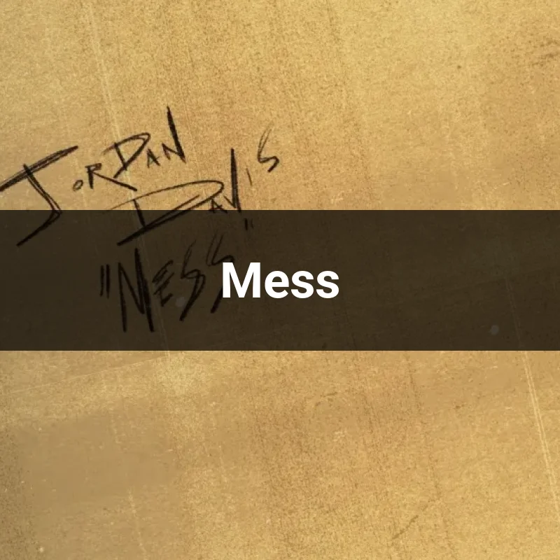 Mess