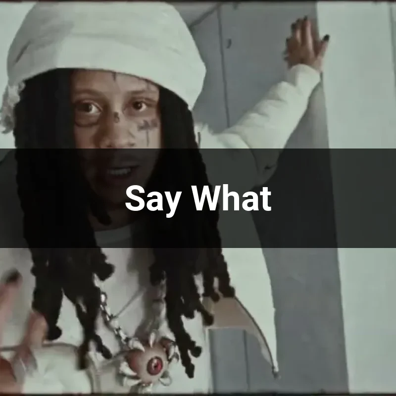 Say What