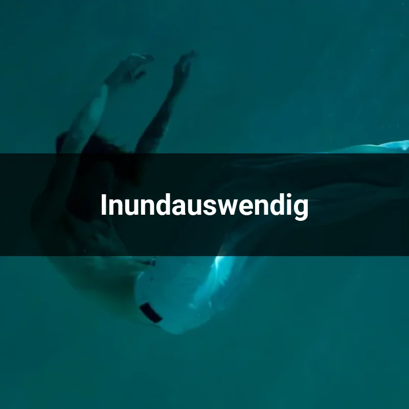 Inundauswendig
