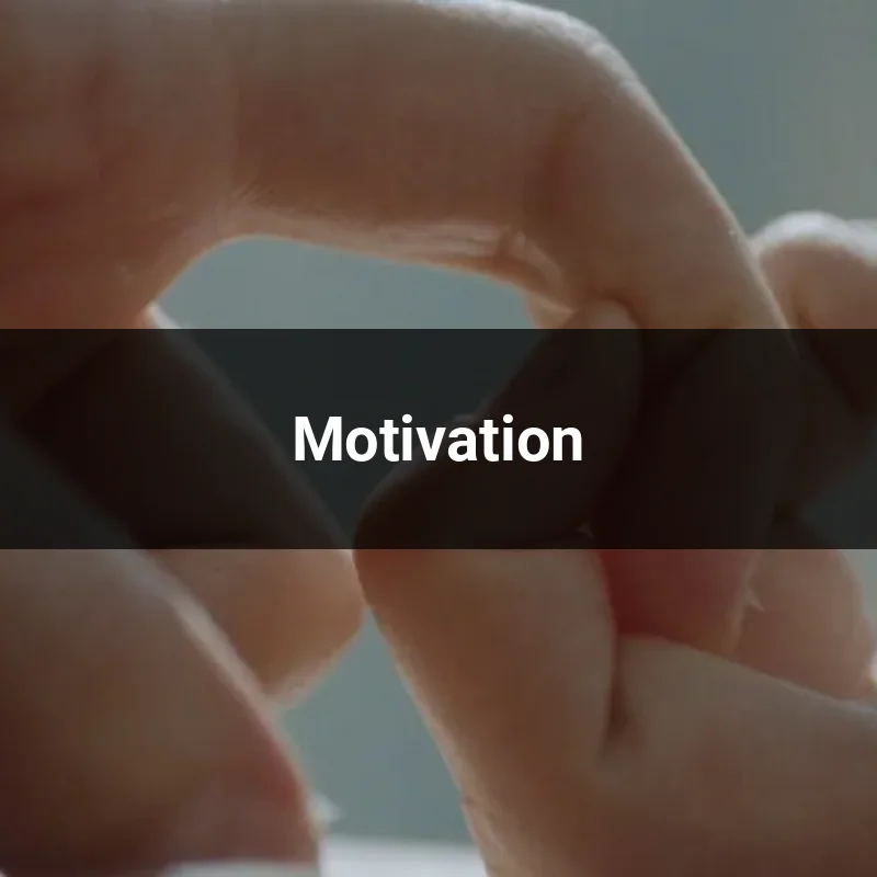 Motivation