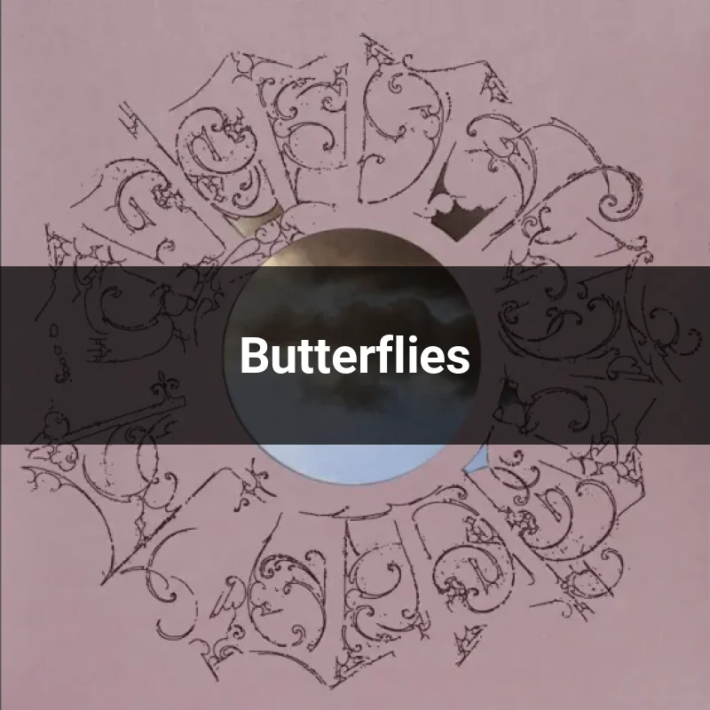 Butterflies