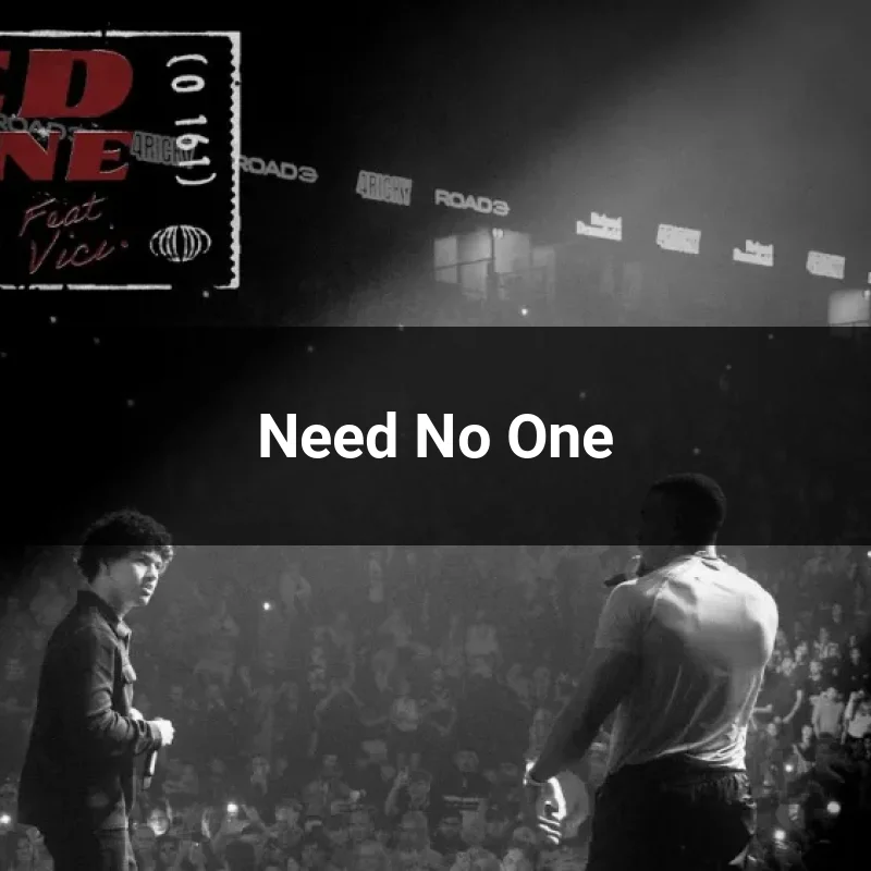 Need No One