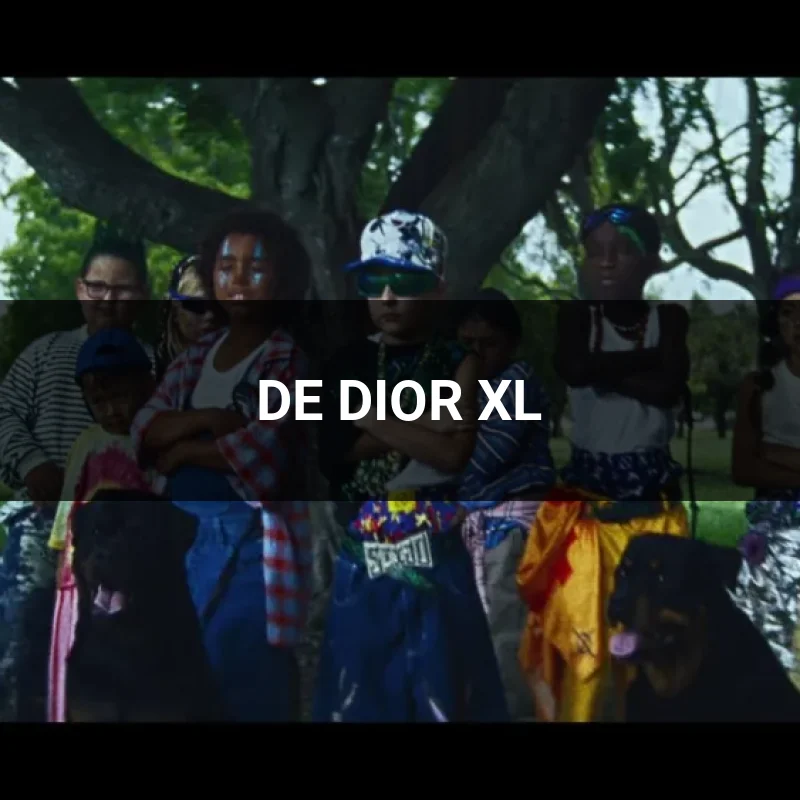 DE DIOR XL