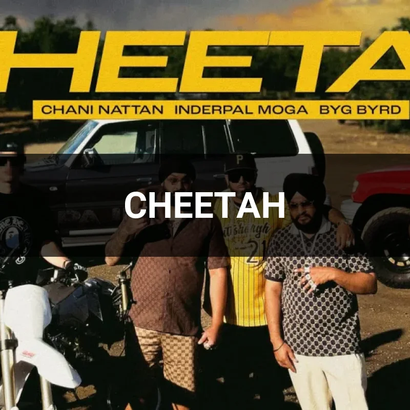 CHEETAH