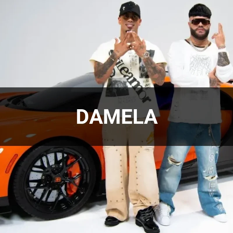 DAMELA