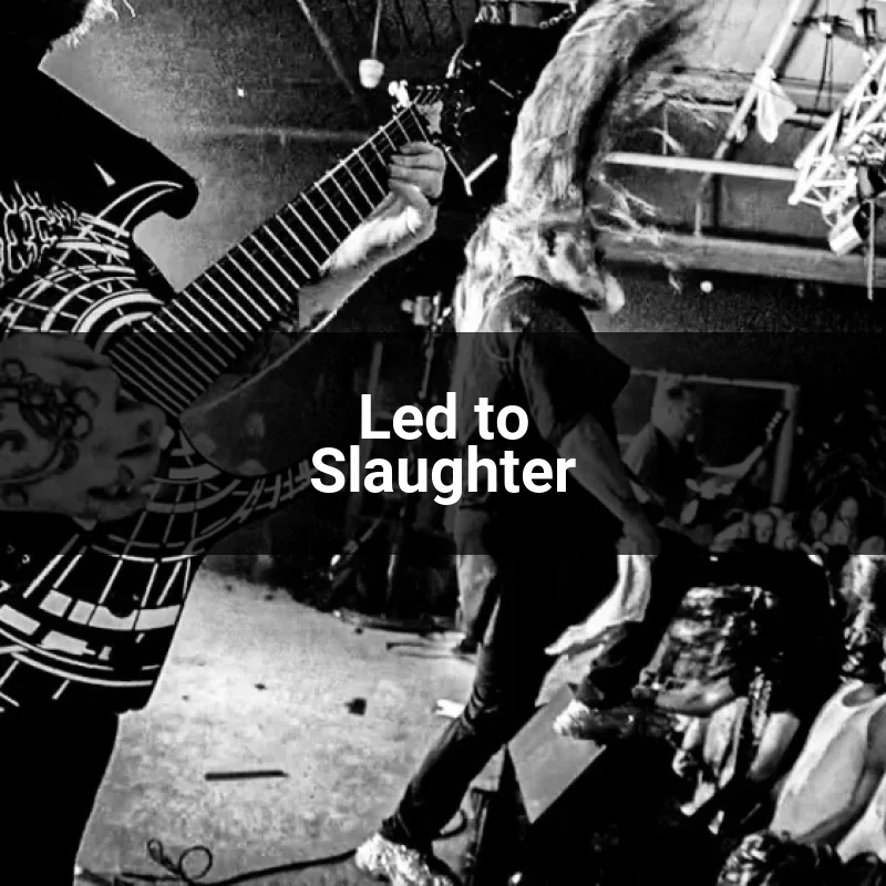Led to Slaughter