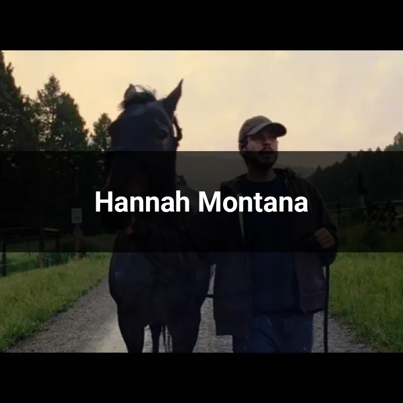Hannah Montana
