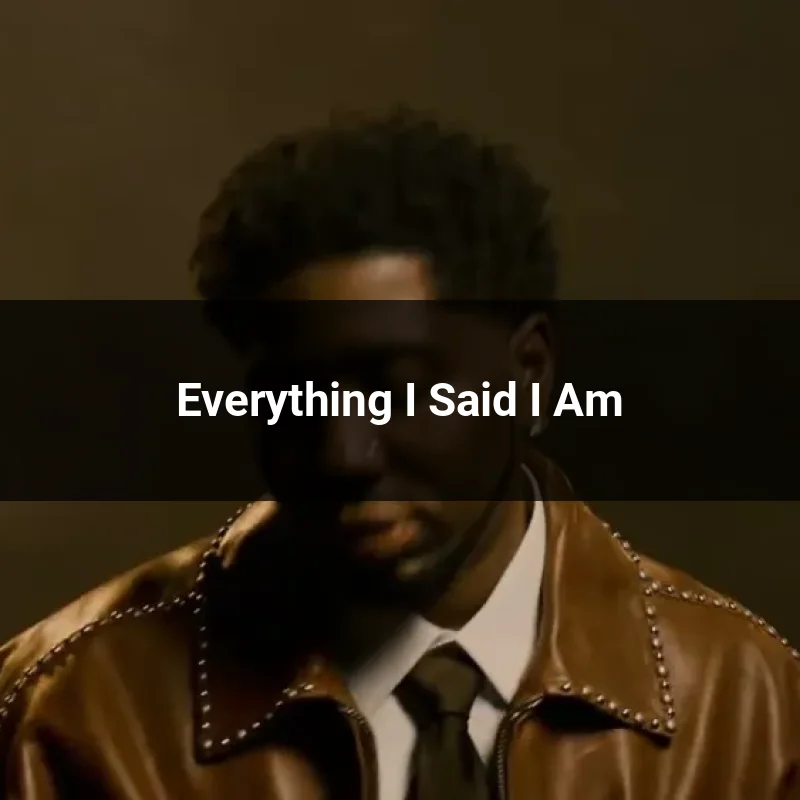 Everything I Said I Am